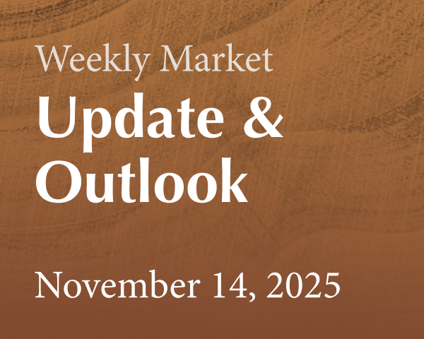 weekly market update 11-14-25