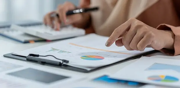 Financial reporting and consolidated balance sheet oversight.